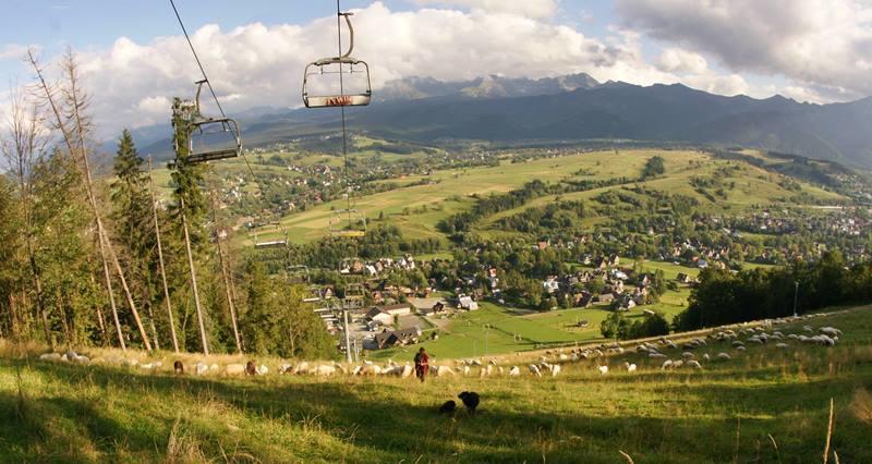 Apartamento Pokoje U Zoskip Zakopane Exterior foto